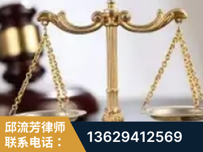 卫辉-委托诉讼代理人出庭